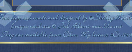 C.I.L.M Website